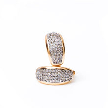 Load image into Gallery viewer, Statement Vine Earring