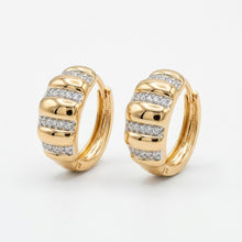 Load image into Gallery viewer, Royal Diamond Studded Earring (17mm)