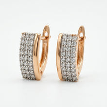 Load image into Gallery viewer, Diamond Vine Earring (14mm)