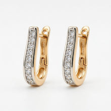 Load image into Gallery viewer, Brilliance diamond Earring