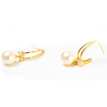 Load image into Gallery viewer, Brick Earring
