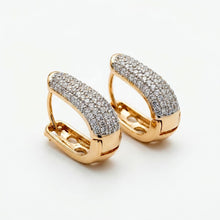 Load image into Gallery viewer, Moon Stone Hoop Earring (22mm)
