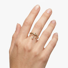Load image into Gallery viewer, Meteorite Comet Ring
