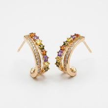Load image into Gallery viewer, Vistoso Legacy Earring (30mm)
