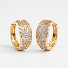 Load image into Gallery viewer, Statement Vine Earring (17mm)
