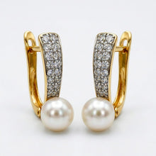 Load image into Gallery viewer, Tear Drop Earrings (25mm)
